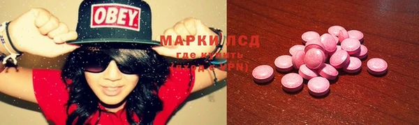 ГАЛЛЮЦИНОГЕННЫЕ ГРИБЫ Волосово