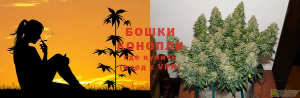 ALPHA PVP Верея