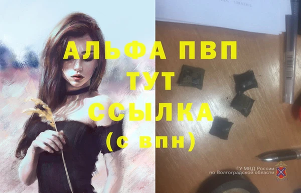 ALPHA PVP Верея