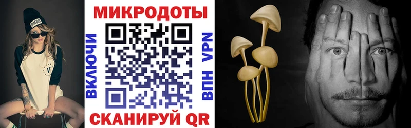Купить  Усть-Джегута  Галлюциногенные грибы Magic Shrooms 
